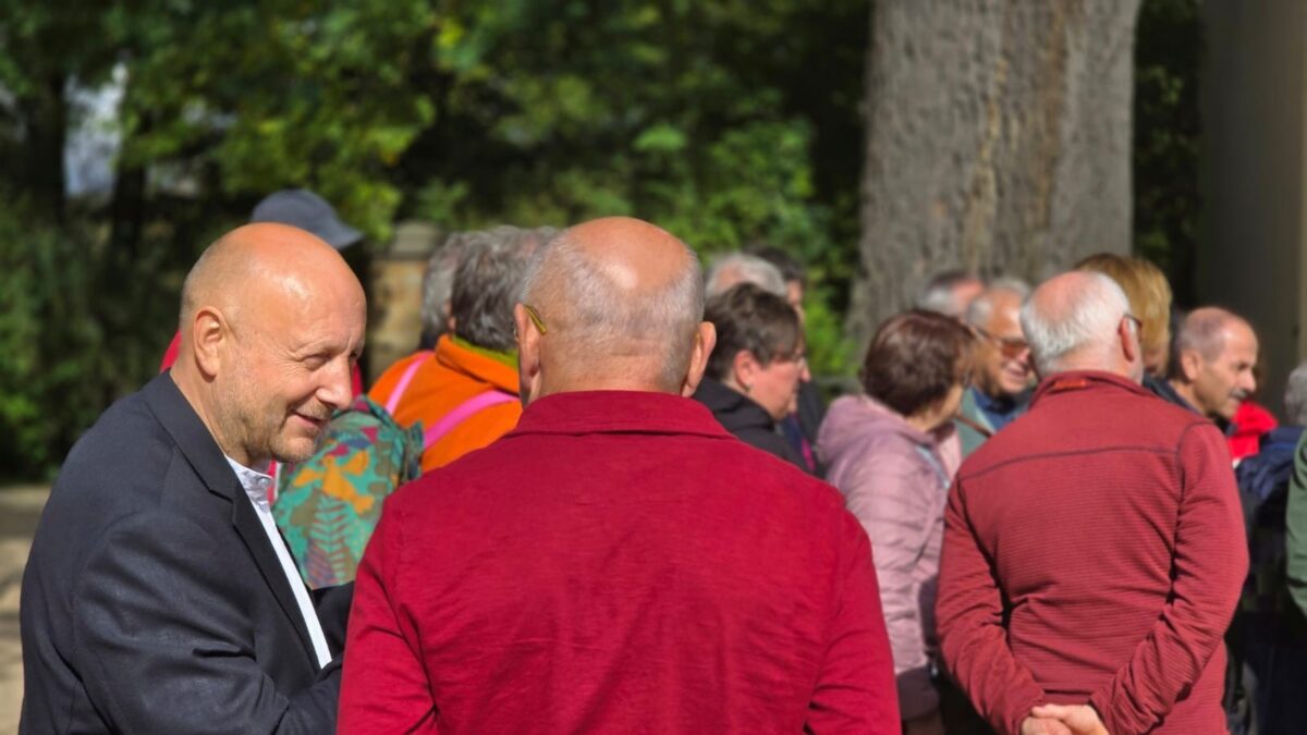 Viele weiße Männer von hinten und der Seite mit Glatzen