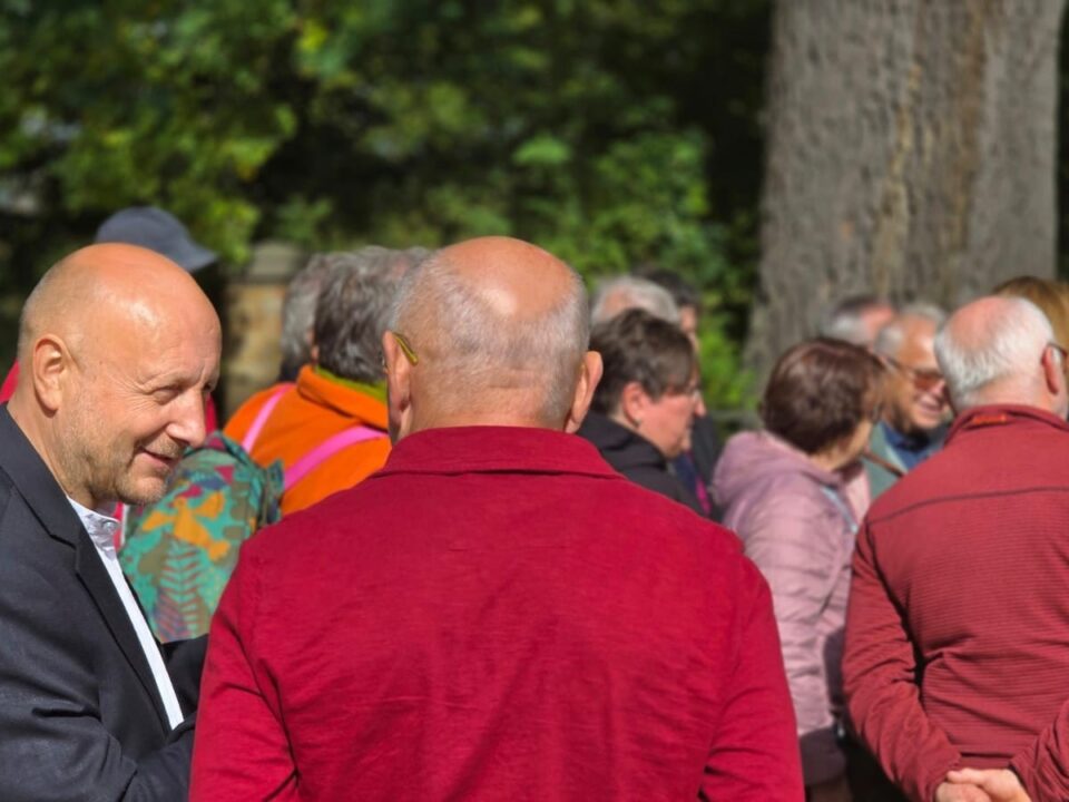 Viele weiße Männer von hinten und der Seite mit Glatzen