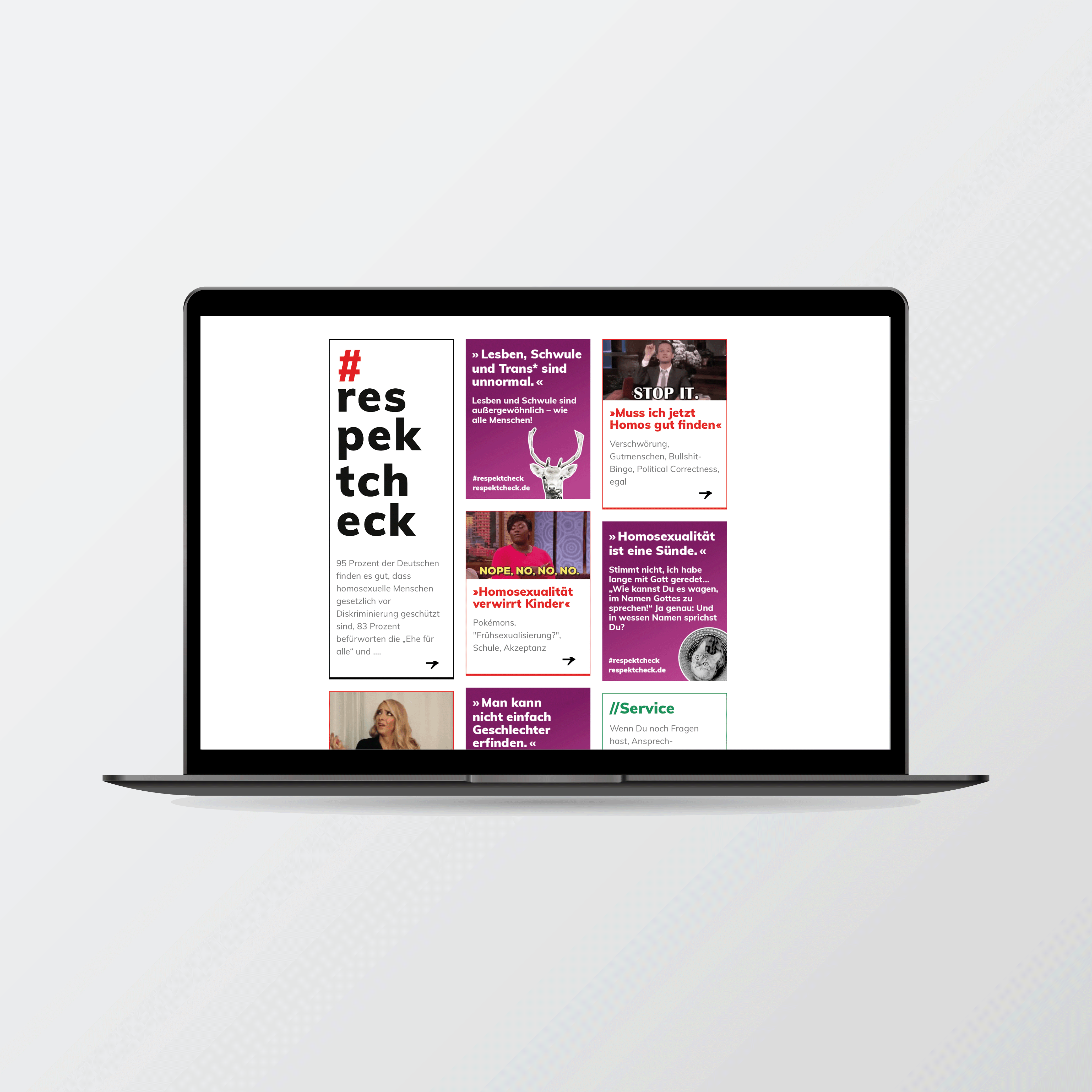 visualisierung webseite respektcheck