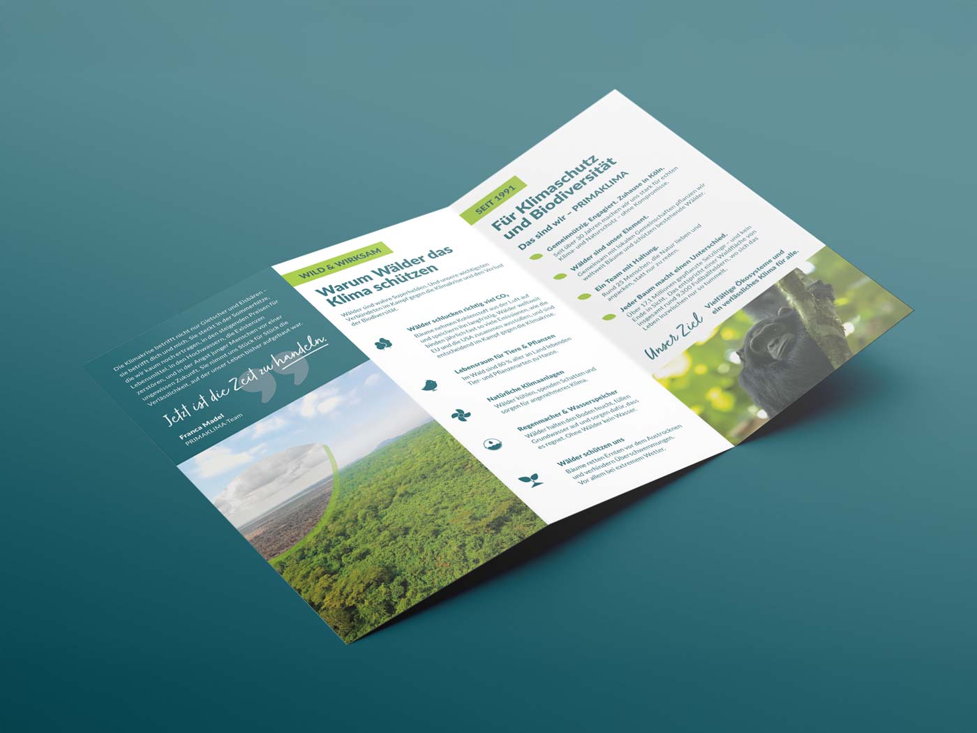 faltblatt seiten design flyer